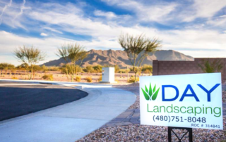 DAY Landscaping Gilbert AZ main