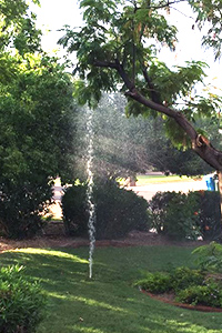 Spend It In Gilbert AZ Core Sprinkler Inset