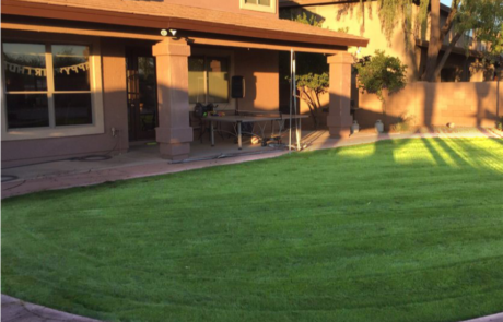 Spend It In Gilbert AZ Pristine Green Landscaper 3