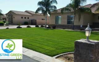 Spend It In Gilbert AZ Pristine Green Landscaper main