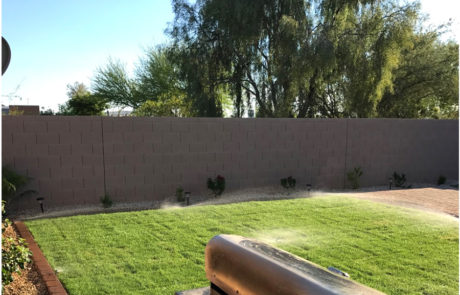 Spend It In Gilbert AZ Phoenix Pro Landscaping 3