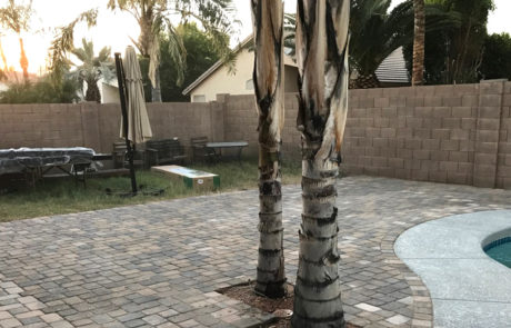 Spend It In Gilbert AZ Phoenix Pro Landscaping 6