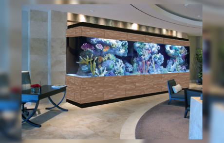 Spend It In Mesa AZ – Custom Marine Aquaria 4