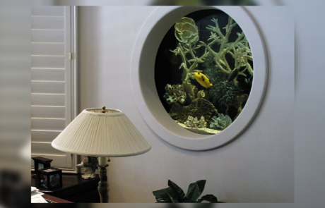 Spend It In Mesa AZ – Custom Marine Aquaria 5