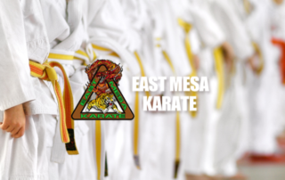 Spend It In Mesa AZ – East Mesa Karate main