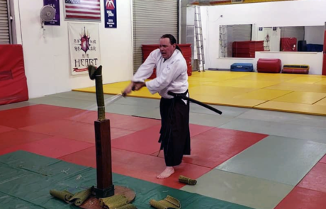 Spend It In Mesa AZ – Nansei Dojo Shinkendo Aikibujutsu 2