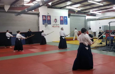 Spend It In Mesa AZ – Nansei Dojo Shinkendo Aikibujutsu 3