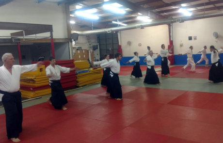 Spend It In Mesa AZ – Nansei Dojo Shinkendo Aikibujutsu 4