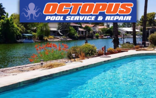 Spend It In Mesa AZ – Octopus Pool Service Repair main