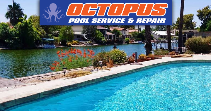 Spend It In Mesa AZ – Octopus Pool Service Repair main