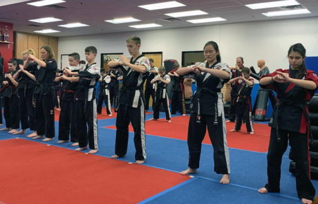 Spend It In Mesa AZ – DePalmas Team USA Martial Arts 6