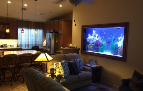 Spend It In Chandler AZ – Artistic Aquariums 3