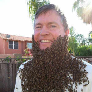 The Beehive Chandler AZ inset