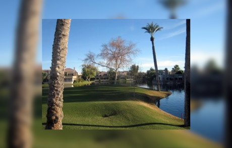 Spend It In Scottsdale AZ – Branch Management Tree Service 3