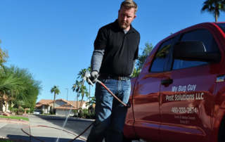 Spend It In Tempe AZ – My Bug Guy Pest Solutions main