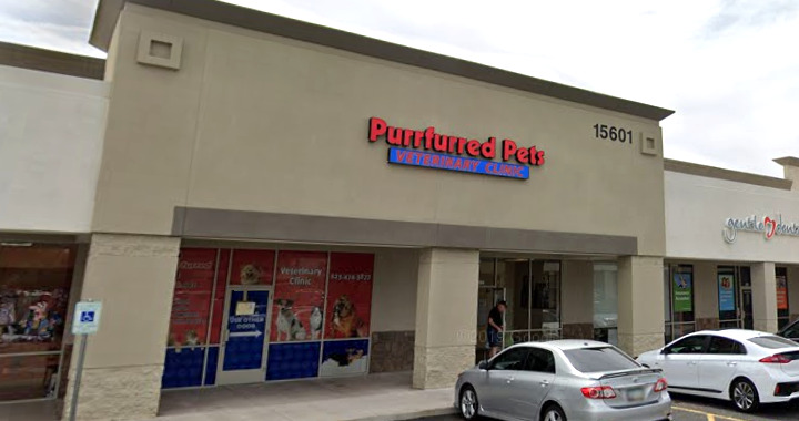 Spend It In Surprise AZ – Purrfurred Pets Veterinary Clinic main