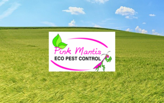 Spend It In Litchfield Park AZ – Pink Mantis Pest Control main