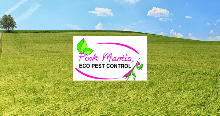 Spend It In Litchfield Park AZ – Pink Mantis Pest Control main