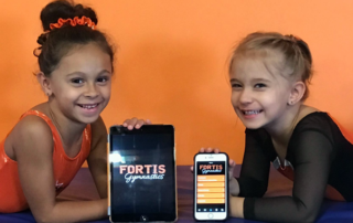 Spend It In Mesa AZ – Fortis Gymnastics main