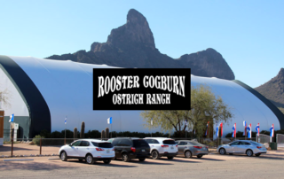 Spend It In Pheonix AZ – Rooster Cogburn Ostrich Ranch main