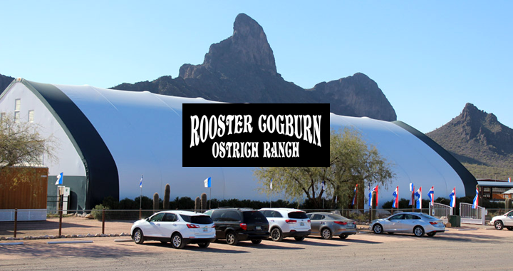 Spend It In Pheonix AZ – Rooster Cogburn Ostrich Ranch main