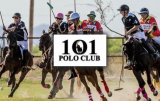 Spend It In Mesa AZ – 101 Polo Club main