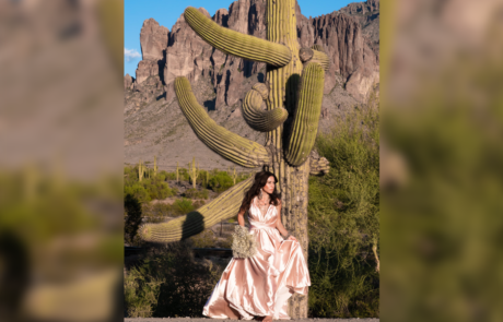 Spend It In Queen Creek AZ – AZ Wedding Photographer and All Occasions Photography 4