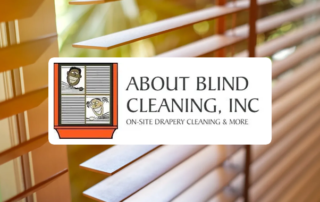 Spend It In Scottsdale AZ – About Blind Cleaning main