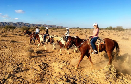 Spend It In Chandler AZ – KOLI Equestrian Center 3