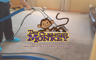 Spend It In Sun City and Surprise AZ – The Cleaning Monkey main