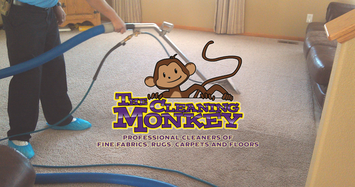 Spend It In Sun City and Surprise AZ – The Cleaning Monkey main