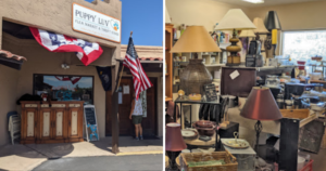 Puppy Luv Animal Rescue Thrift Store Cave Creek AZ