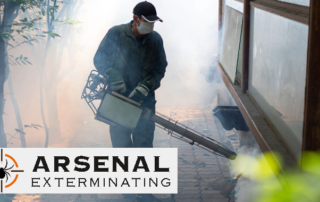 Spend It In Queen Creek AZ – Arsenal Exterminating main