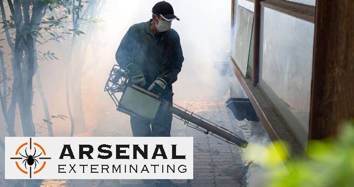 Spend It In Queen Creek AZ – Arsenal Exterminating main