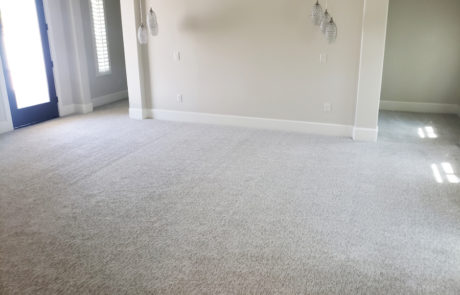 Carpet Direct Phoenix AZ 11