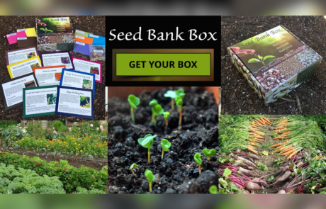 Spend It In Apache Junction AZ – Seed Bank Box 2