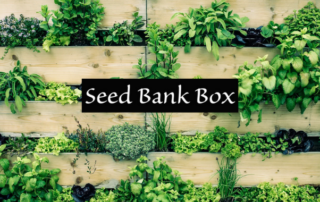 Spend It In Apache Junction AZ – Seed Bank Box main