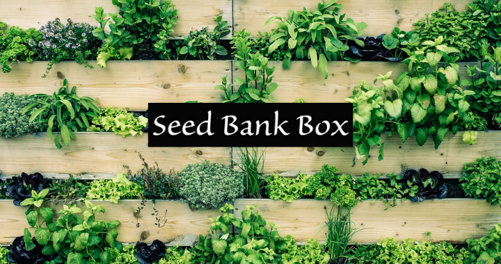 Spend It In Apache Junction AZ – Seed Bank Box main