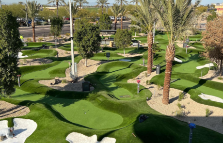 Spend It In Scottsdale AZ – Paradise Green and Turf 4