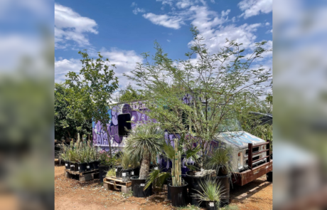 Spend It In Phoenix AZ – Dig It Gardens 4