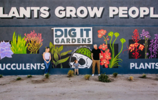 Spend It In Phoenix AZ – Dig It Gardens main