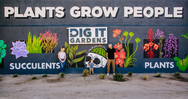 Spend It In Phoenix AZ – Dig It Gardens main