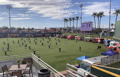 Spend It In Phoenix AZ – The Synthetic Grass Store 1