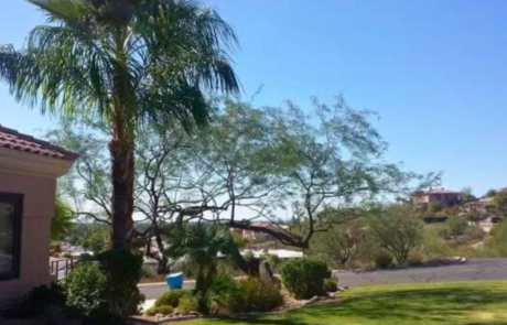 Spend It In Glendale AZ – Twilight Tree and Landscape 5