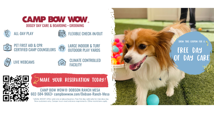 Camp Bow Wow Mesa AZ Spenditin