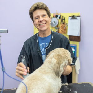 Spend It In Chandler AZ Dogs Day Out Grooming inset