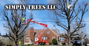 Simply Trees LLC High Ridge MO