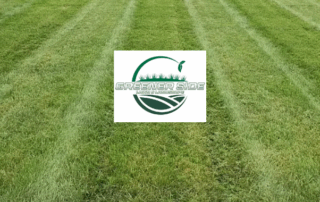 Spend It In Greener Side Lawn and Landscape in Kansas City MO main