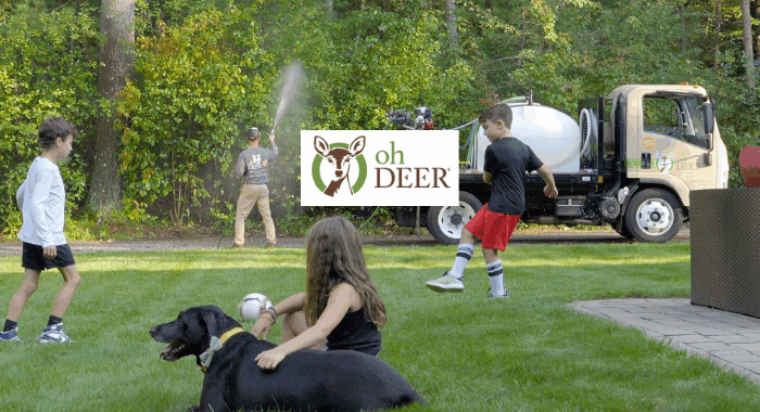Spend It In ohDEER in West County St. Louis MO main