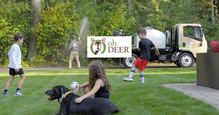 Spend It In ohDEER in West County St. Louis MO main